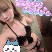 ヒメ日記 2025/05/28 07:53 投稿 りえる アニバーサリー