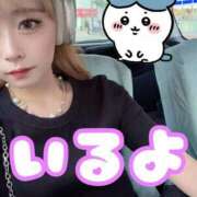 ヒメ日記 2025/06/27 19:08 投稿 りえる アニバーサリー