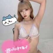 ヒメ日記 2025/06/29 06:13 投稿 りえる アニバーサリー