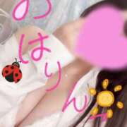 ヒメ日記 2025/07/31 06:46 投稿 りんこ E+アイドルスクール池袋店