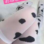 ヒメ日記 2026/04/14 06:46 投稿 りんこ E+アイドルスクール池袋店