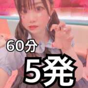 ヒメ日記 2025/09/17 14:52 投稿 ニモ マリン千葉店
