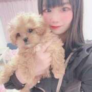 ヒメ日記 2025/10/26 15:02 投稿 ニモ マリン千葉店