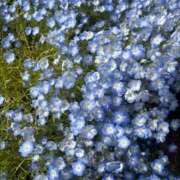 ヒメ日記 2025/04/19 16:58 投稿 ちさと 不倫体験 名古屋店