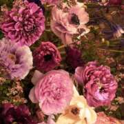 ヒメ日記 2024/12/15 09:51 投稿 和葉(かずは) グランドオペラ横浜