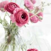 ヒメ日記 2024/12/17 11:29 投稿 和葉(かずは) グランドオペラ横浜