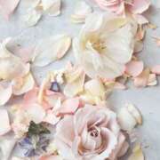 ヒメ日記 2024/12/17 16:36 投稿 和葉(かずは) グランドオペラ横浜