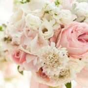 ヒメ日記 2024/12/19 12:09 投稿 和葉(かずは) グランドオペラ横浜