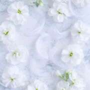 ヒメ日記 2024/12/20 10:21 投稿 和葉(かずは) グランドオペラ横浜