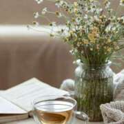 ヒメ日記 2024/12/23 10:02 投稿 和葉(かずは) グランドオペラ横浜