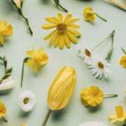 ヒメ日記 2025/01/02 15:21 投稿 和葉(かずは) グランドオペラ横浜