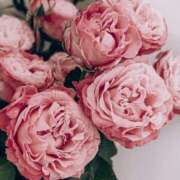 ヒメ日記 2025/01/07 10:21 投稿 和葉(かずは) グランドオペラ横浜