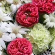 ヒメ日記 2025/01/11 10:21 投稿 和葉(かずは) グランドオペラ横浜