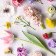 ヒメ日記 2025/01/15 09:41 投稿 和葉(かずは) グランドオペラ横浜