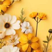 ヒメ日記 2025/01/17 10:51 投稿 和葉(かずは) グランドオペラ横浜