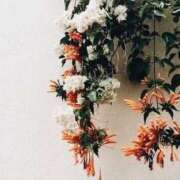 ヒメ日記 2025/01/18 10:41 投稿 和葉(かずは) グランドオペラ横浜