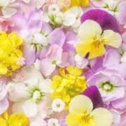 ヒメ日記 2025/01/24 00:11 投稿 和葉(かずは) グランドオペラ横浜