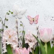 ヒメ日記 2025/01/26 00:50 投稿 和葉(かずは) グランドオペラ横浜