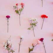 ヒメ日記 2025/02/04 00:02 投稿 和葉(かずは) グランドオペラ横浜