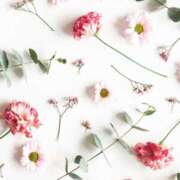 ヒメ日記 2025/02/04 09:41 投稿 和葉(かずは) グランドオペラ横浜