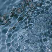 ヒメ日記 2025/02/05 03:11 投稿 和葉(かずは) グランドオペラ横浜