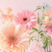 ヒメ日記 2025/02/13 10:21 投稿 和葉(かずは) グランドオペラ横浜