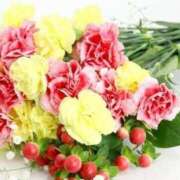 ヒメ日記 2025/02/18 08:41 投稿 和葉(かずは) グランドオペラ横浜