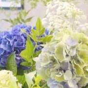 ヒメ日記 2025/02/18 10:33 投稿 和葉(かずは) グランドオペラ横浜