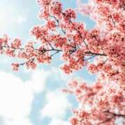 ヒメ日記 2025/02/24 10:01 投稿 和葉(かずは) グランドオペラ横浜