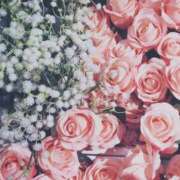 ヒメ日記 2025/03/04 09:31 投稿 和葉(かずは) グランドオペラ横浜