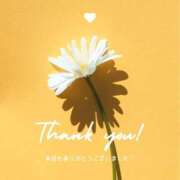 ヒメ日記 2025/03/06 02:10 投稿 和葉(かずは) グランドオペラ横浜