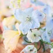 ヒメ日記 2025/03/09 10:21 投稿 和葉(かずは) グランドオペラ横浜