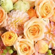 ヒメ日記 2025/03/10 09:21 投稿 和葉(かずは) グランドオペラ横浜