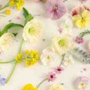 ヒメ日記 2025/03/11 12:51 投稿 和葉(かずは) グランドオペラ横浜