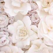 ヒメ日記 2025/03/12 10:18 投稿 和葉(かずは) グランドオペラ横浜