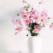 ヒメ日記 2025/03/13 00:21 投稿 和葉(かずは) グランドオペラ横浜