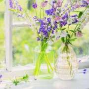 ヒメ日記 2025/03/14 10:21 投稿 和葉(かずは) グランドオペラ横浜