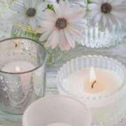 ヒメ日記 2025/03/19 19:02 投稿 和葉(かずは) グランドオペラ横浜