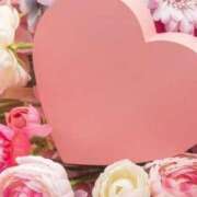 ヒメ日記 2025/03/27 11:50 投稿 和葉(かずは) グランドオペラ横浜