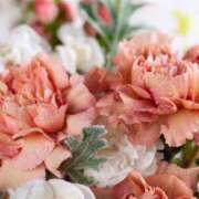 ヒメ日記 2025/04/01 12:51 投稿 和葉(かずは) グランドオペラ横浜