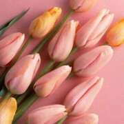 ヒメ日記 2025/04/02 15:44 投稿 和葉(かずは) グランドオペラ横浜