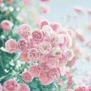 ヒメ日記 2025/04/04 10:21 投稿 和葉(かずは) グランドオペラ横浜