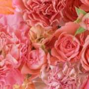 ヒメ日記 2025/04/07 15:22 投稿 和葉(かずは) グランドオペラ横浜