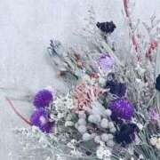 ヒメ日記 2025/04/08 12:31 投稿 和葉(かずは) グランドオペラ横浜