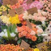 ヒメ日記 2025/04/09 11:03 投稿 和葉(かずは) グランドオペラ横浜