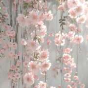 ヒメ日記 2025/04/09 12:21 投稿 和葉(かずは) グランドオペラ横浜