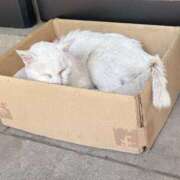 ヒメ日記 2025/04/09 13:51 投稿 和葉(かずは) グランドオペラ横浜