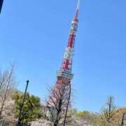 ヒメ日記 2025/04/10 13:38 投稿 和葉(かずは) グランドオペラ横浜