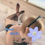 ヒメ日記 2026/03/06 18:53 投稿 ましろ 池袋角海老