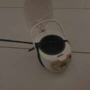 ヒメ日記 2025/01/28 18:14 投稿 マリン バニーコレクション千葉栄町店